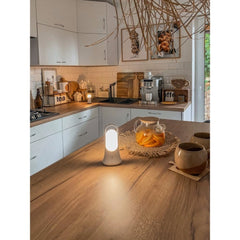 Przenośna lampa LED NIGHTLUX MOBILE LANTERN zimnobiała - eshop LEDVANCE 4058075570184 Przenośna lampa LED NIGHTLUX MOBILE LANTERN zimnobiała - eshop LEDVANCE 4058075570184