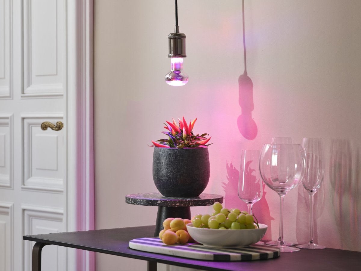 Lampa LED o specjalnym spektrumKolorów E27 7,5W 1300K 140lm - Poland LEDVANCE e-shop 4099854245138