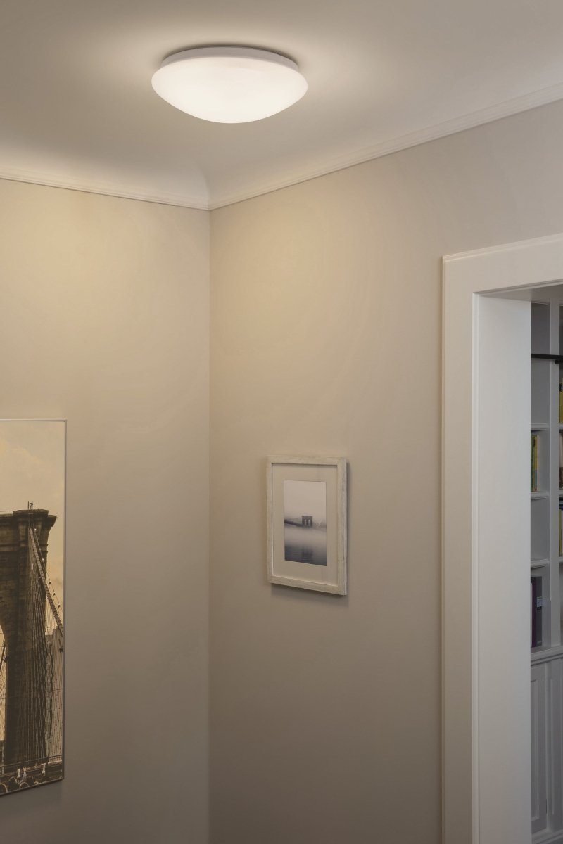 Oprawa LED Essential Ceiling 24W Do Pomieszczeń - Poland LEDVANCE e-shop 4099854003134