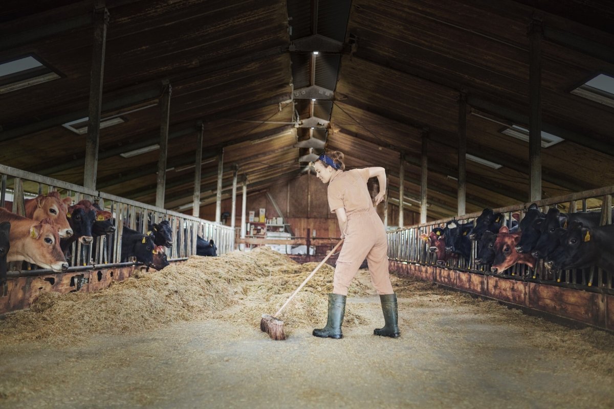 OSRAM Highbay UFO 130W 865 IP65 czarny - eshop Ledvance PL 4099854429330