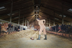 OSRAM Highbay UFO 130W 865 IP65 czarny - eshop Ledvance PL 4099854429330