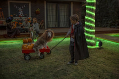 OSRAM OUTDOOR FLEX IP65 RGB 10M RGB IP65 z pilotem - eshop Ledvance PL 4099854449178