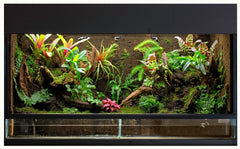 Żarówka LED OSRAMTUBE T8 30 EM BIO-LUMILUX 900 mm 10W 965 - Poland LEDVANCE e-shop 4099854178290
