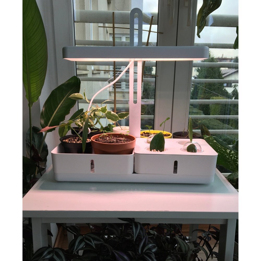 Wewnętrzna lampa LED do uprawy roślin Garden Kit - eshop LEDVANCE 4058075576131