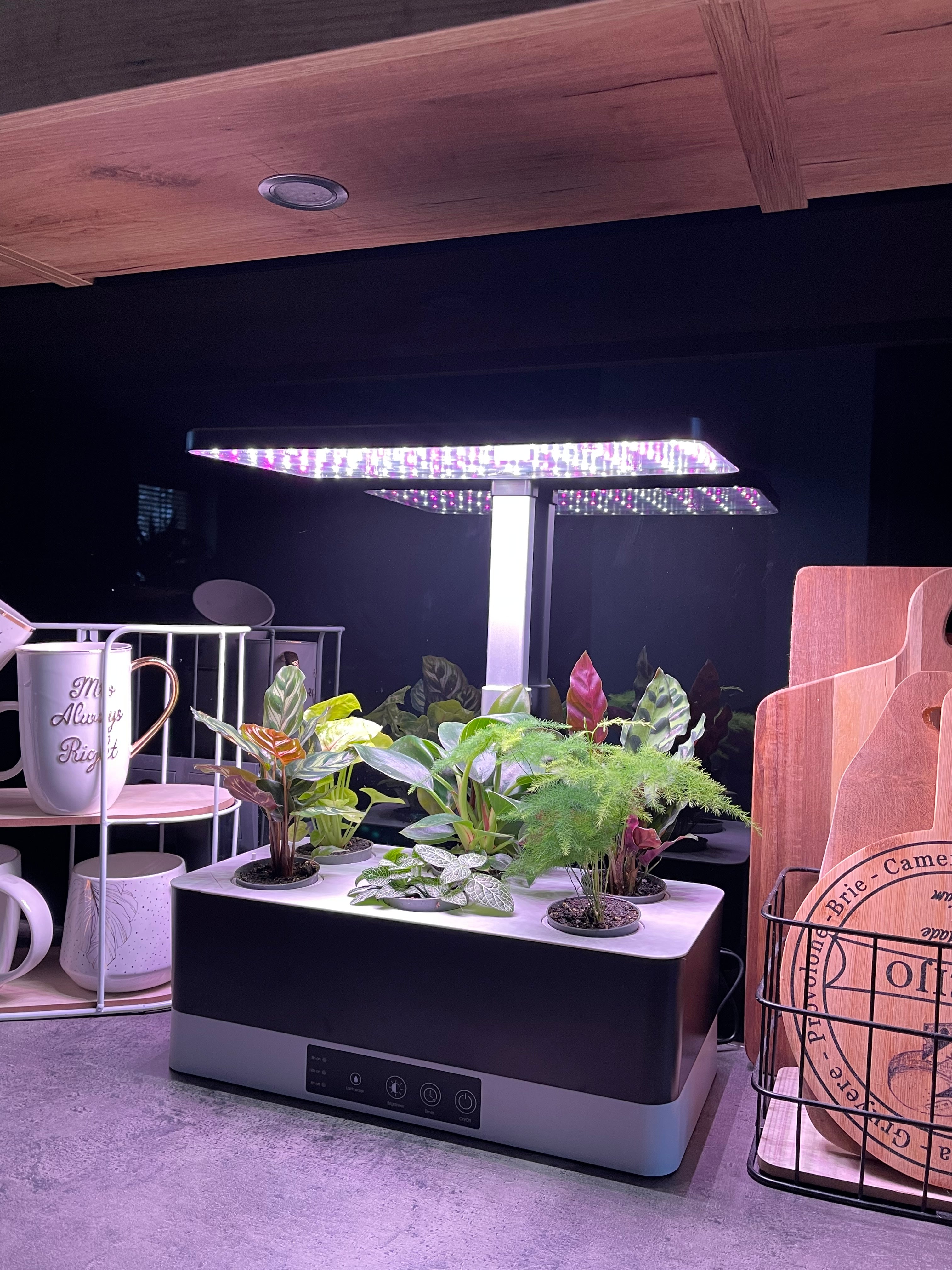 Wewnętrzna lampa LED do uprawy roślin Garden Pro - eshop LEDVANCE 4058075576179