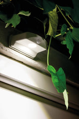 Biała lampa zewnętrzna LED DOOR DOWN IP54 z czujnikiem - eshop LEDVANCE 4058075267848
