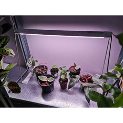 Wewnętrzna lampa LED do uprawy roślin Light Stand - eshop LEDVANCE 4058075576193